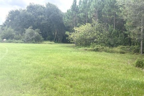 Land in Groveland, Florida № 1377788 - photo 3