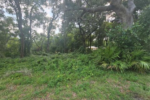 Terreno en venta en Hernando, Florida № 1326825 - foto 16