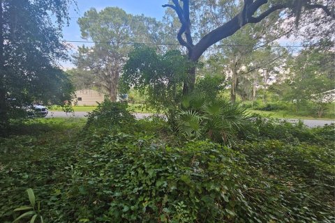 Terreno en venta en Hernando, Florida № 1326825 - foto 14