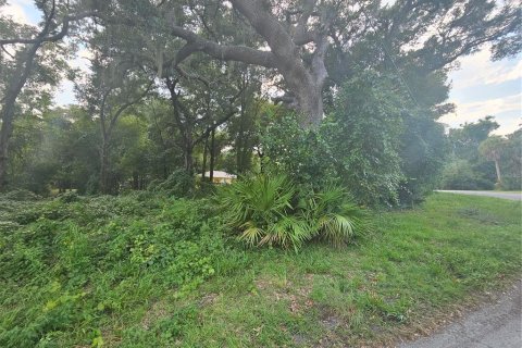 Terreno en venta en Hernando, Florida № 1326825 - foto 17