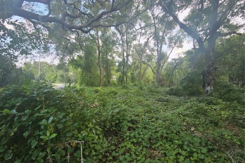 Terreno en venta en Hernando, Florida № 1326825 - foto 4