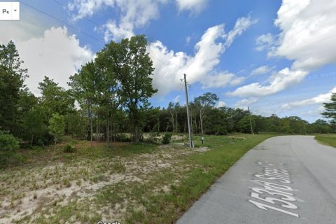 Terreno en venta en Ocala, Florida № 1361363 - foto 1