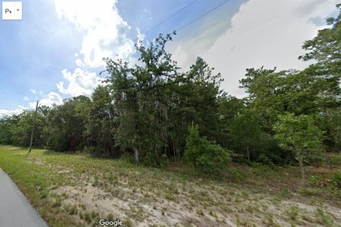 Land in Ocala, Florida № 1361363 - photo 2