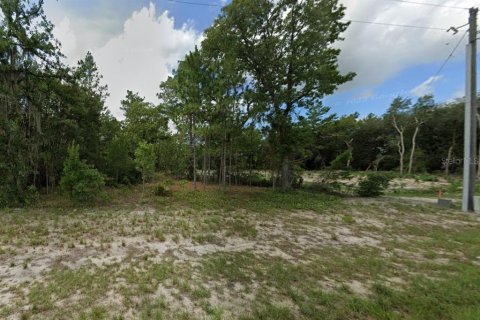 Land in Ocala, Florida № 1361363 - photo 3