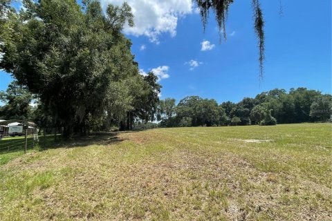 Terrain à vendre à Altoona, Floride № 1361362 - photo 6