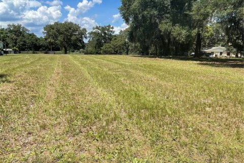 Terreno en venta en Altoona, Florida № 1361362 - foto 1