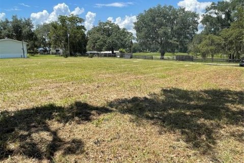 Terreno en venta en Altoona, Florida № 1361362 - foto 2