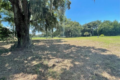 Terreno en venta en Altoona, Florida № 1361362 - foto 4