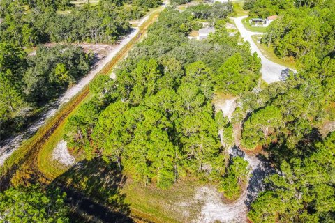 Terrain à vendre à Poinciana, Floride № 1353302 - photo 4