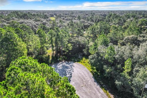 Terrain à vendre à Poinciana, Floride № 1353302 - photo 6