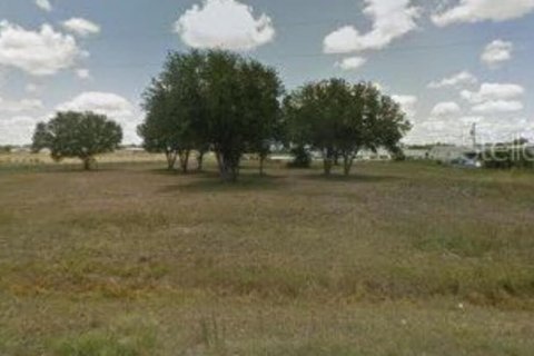 Land in Okeechobee, Florida № 854284 - photo 2