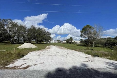 Land in Okeechobee, Florida № 854284 - photo 3