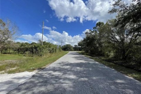 Land in Okeechobee, Florida № 854284 - photo 1