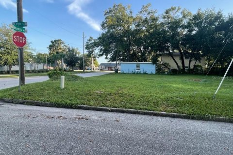 Terreno en venta en Orlando, Florida № 982861 - foto 4