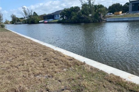 Terreno en venta en Cape Coral, Florida № 1295242 - foto 5