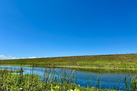 Land in Okeechobee, Florida № 1221530 - photo 10