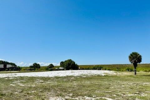 Land in Okeechobee, Florida № 1221530 - photo 1