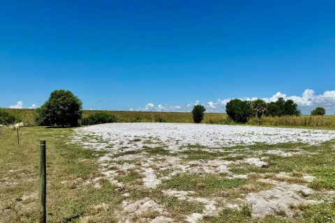 Land in Okeechobee, Florida № 1221530 - photo 11