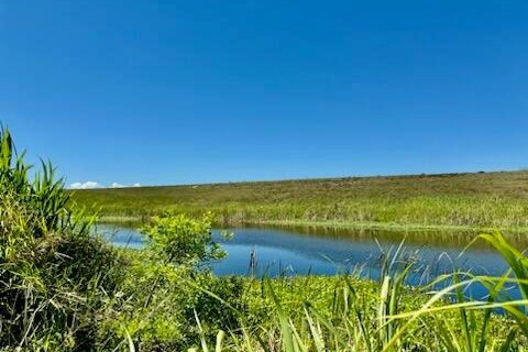 Land in Okeechobee, Florida № 1221530 - photo 4