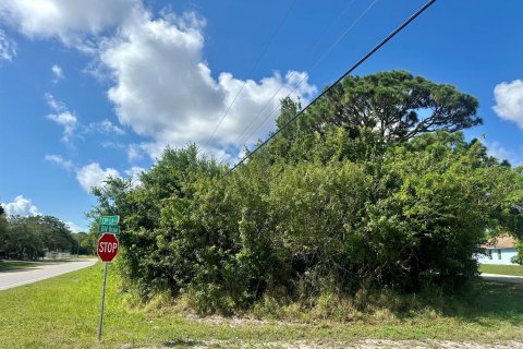 Terrain à vendre à Vero Beach, Floride № 1183216 - photo 8