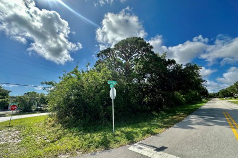 Terrain à vendre à Vero Beach, Floride № 1183216 - photo 5