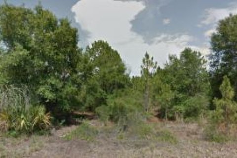 Купить земельный участок в Клуистон, Флорида № 1007755 - фото 3