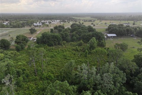 Terrain à vendre à Alturas, Floride № 1300975 - photo 4