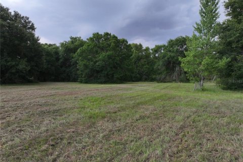 Land in Alturas, Florida № 1300975 - photo 9