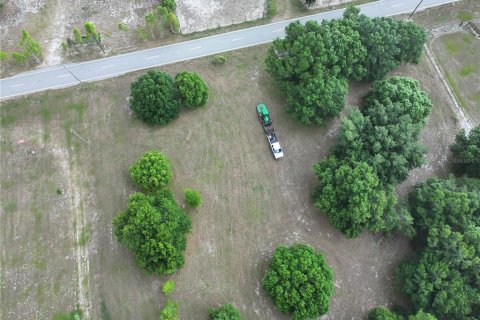 Land in Alturas, Florida № 1300975 - photo 2