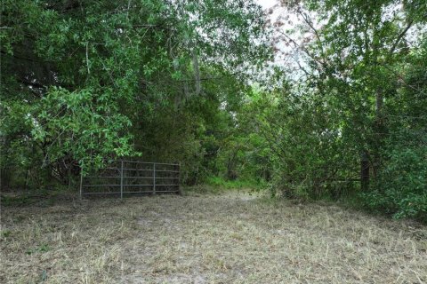 Terrain à vendre à Alturas, Floride № 1300975 - photo 7