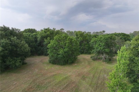 Terrain à vendre à Alturas, Floride № 1300975 - photo 8