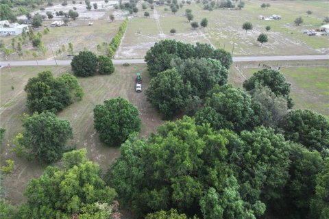 Terreno en venta en Alturas, Florida № 1300975 - foto 3