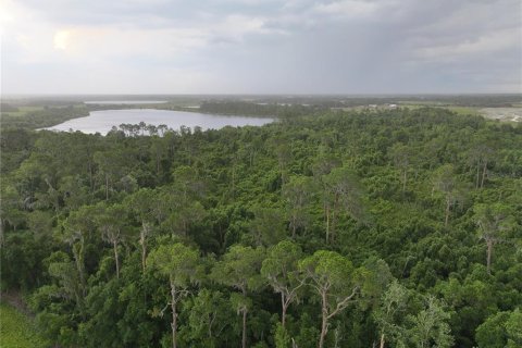 Land in Alturas, Florida № 1300975 - photo 5