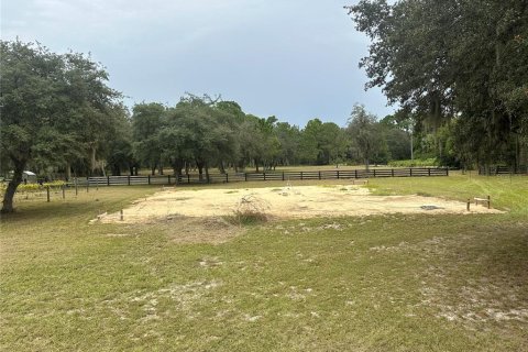 Terreno en venta en Leesburg, Florida № 1356429 - foto 3