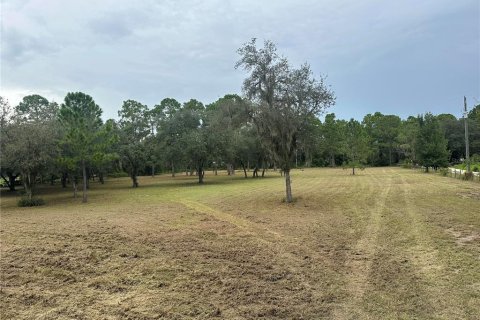 Terrain à vendre à Leesburg, Floride № 1356429 - photo 4