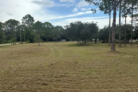 Terrain à vendre à Leesburg, Floride № 1356429 - photo 5