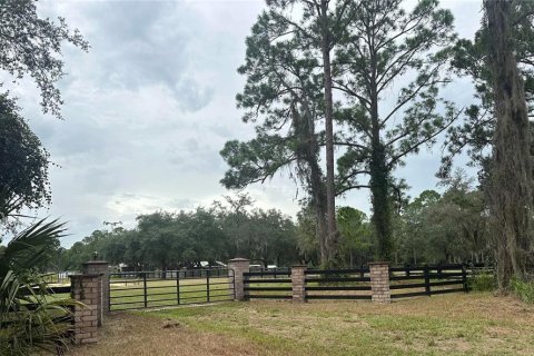 Land in Leesburg, Florida № 1356429 - photo 2