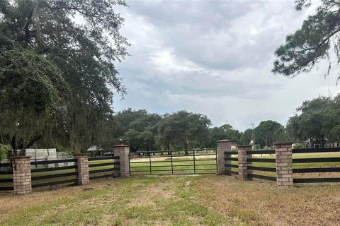 Land in Leesburg, Florida № 1356429 - photo 1