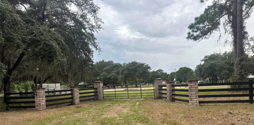 Terrain à Leesburg, Floride № 1356429