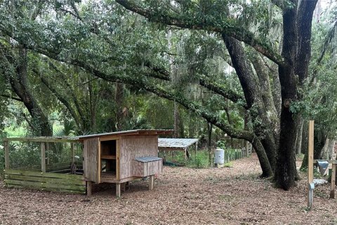 Land in Leesburg, Florida № 1356429 - photo 9