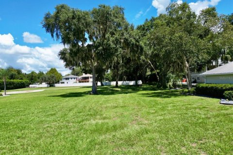 Terreno en venta en Ocklawaha, Florida № 1349190 - foto 13