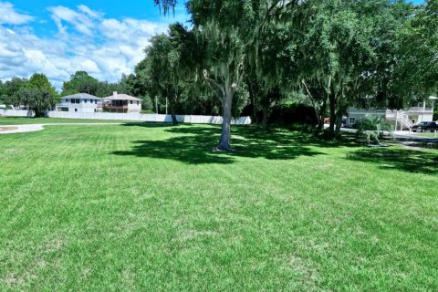 Terreno en venta en Ocklawaha, Florida № 1349190 - foto 12