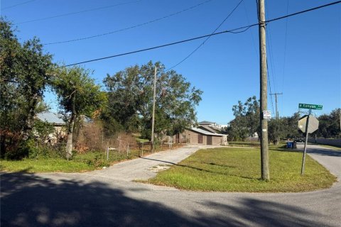 Land in Tampa, Florida № 1414316 - photo 4