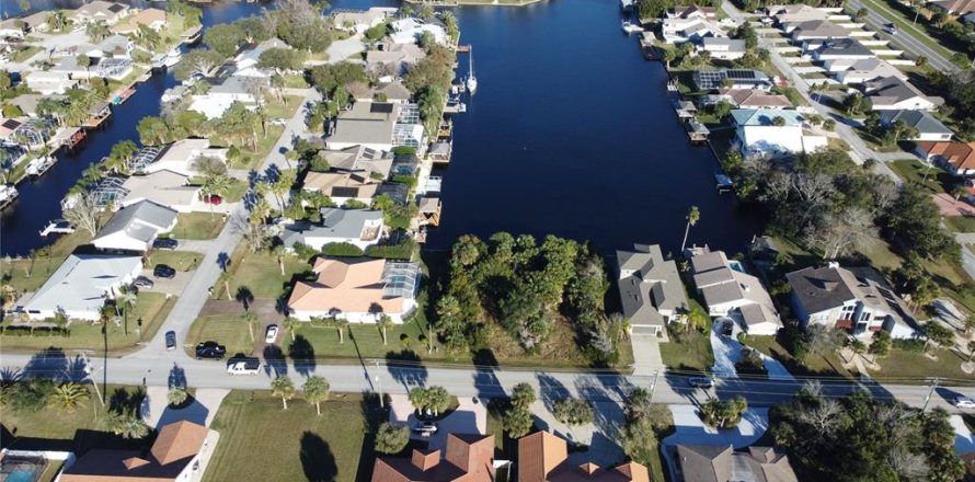 Terrain à Palm Coast, Floride № 1354783