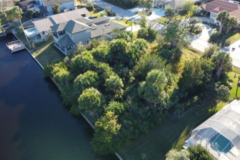 Terreno en venta en Palm Coast, Florida № 1354783 - foto 5