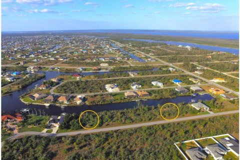 Terrain à vendre à Port Charlotte, Floride № 947070 - photo 5