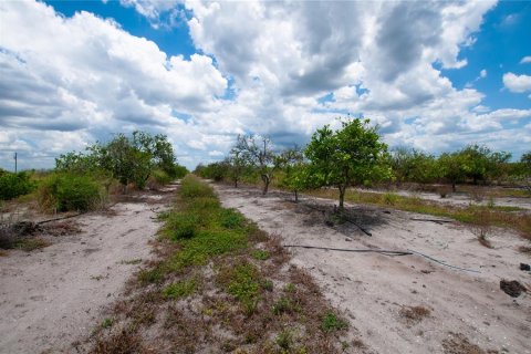 Terrain à vendre à Punta Gorda, Floride № 1218227 - photo 4