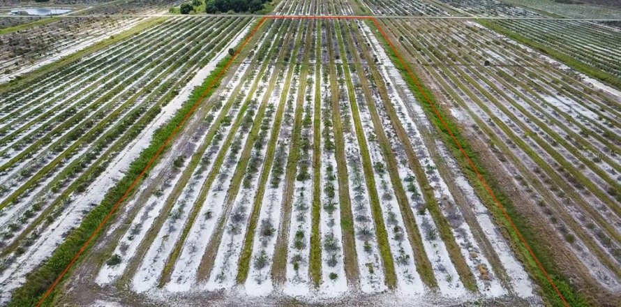 Terrain à Punta Gorda, Floride № 1218227