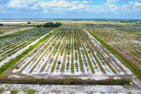 Terreno en venta en Punta Gorda, Florida № 1218227 - foto 5