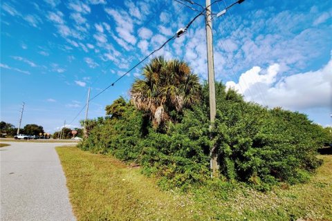 Land in Englewood, Florida № 296368 - photo 13